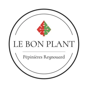 LOGO LE BON PLANT